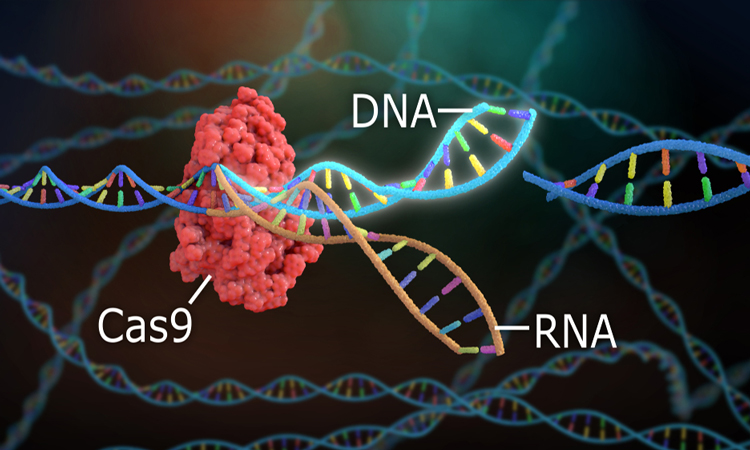 Cas9
